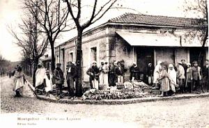 3050- Montgolfier - Marche aux Legumes